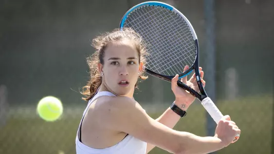WTEN Diana Cabrera