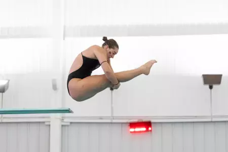Swim & Dive