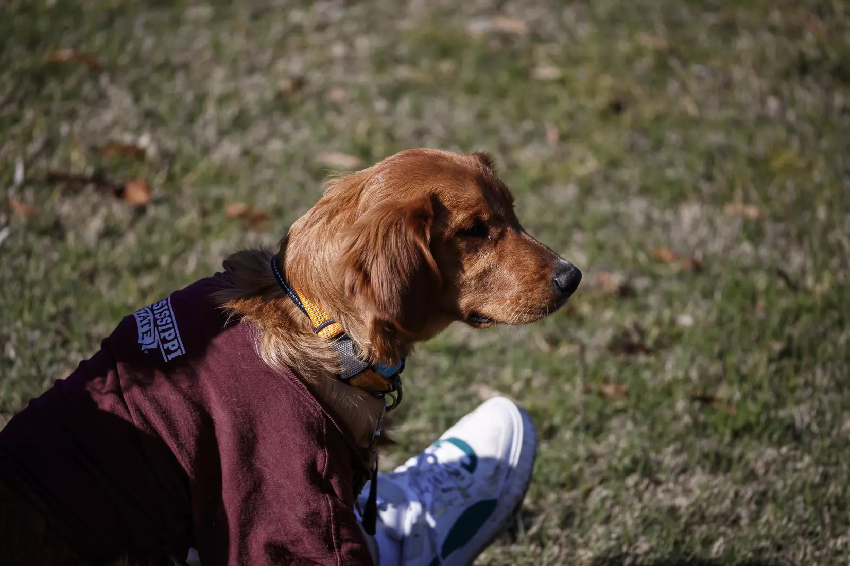 STARKVILLE, MS - March 20, 2021 - The Mississippi State Bulldogs take on Troy at the MSU Soccer Field in Starkville, MS. Photo By Chamberlain Smith