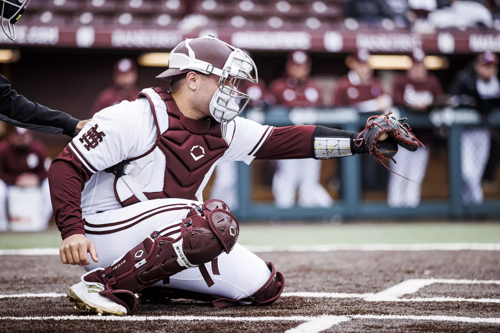 STARKVILLE, MS - February 26, 2022 - Mississippi State Catcher Logan Tanner (#19) during the game between the Northern Kentucky Norse and the Mississippi State Bulldogs at Dudy Noble Field at Polk-Dement Stadium in Starkville, MS. Photo By Kevin Snyder