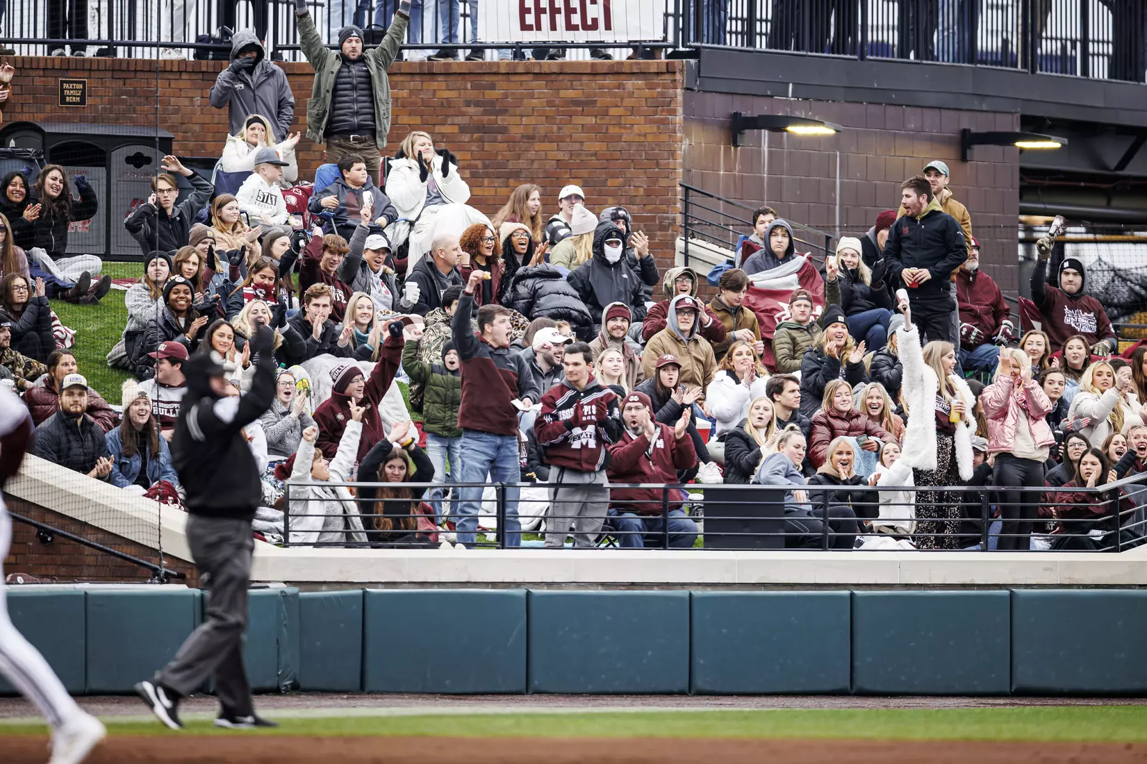 STARKVILLE, MS - February 26, 2022 - Mississippi State fans cheer during the game between the Northern Kentucky Norse and the Mississippi State Bulldogs at Dudy Noble Field at Polk-Dement Stadium in Starkville, MS. Photo By Kevin Snyder