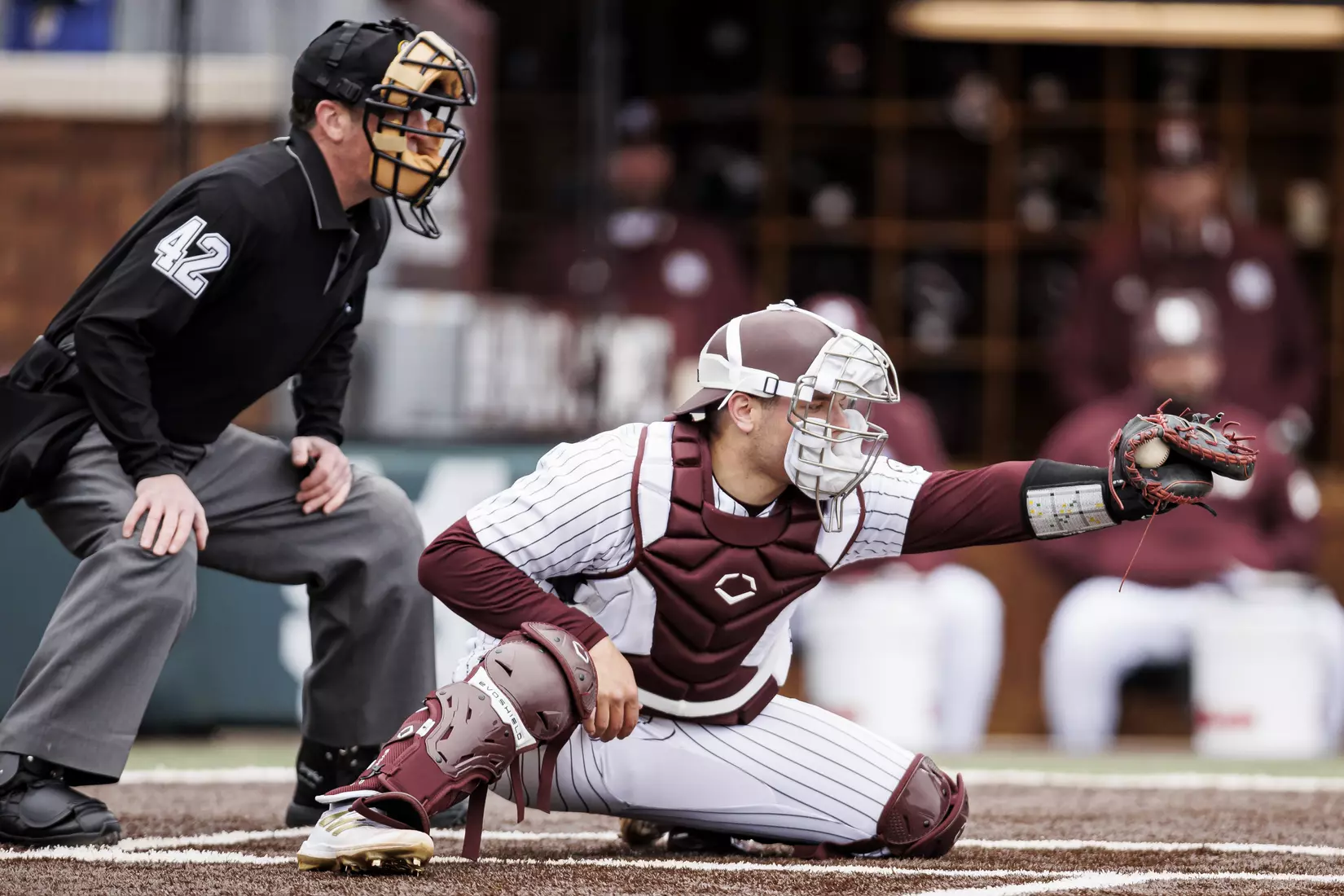 STARKVILLE, MS - February 27, 2022 - Mississippi State Catcher Logan Tanner (#19) during the game between the Northern Kentucky Norse and the Mississippi State Bulldogs at Dudy Noble Field at Polk-Dement Stadium in Starkville, MS. Photo By Austin Perryman
