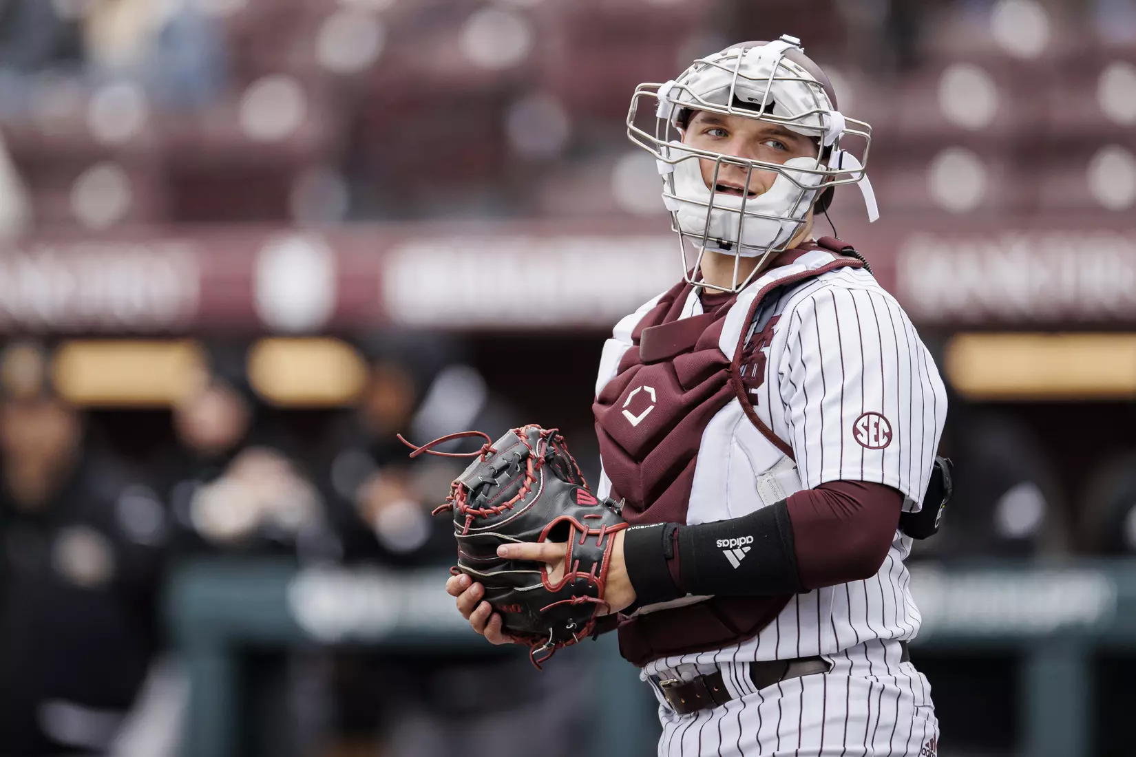 STARKVILLE, MS - February 27, 2022 - Mississippi State Catcher Logan Tanner (#19) during the game between the Northern Kentucky Norse and the Mississippi State Bulldogs at Dudy Noble Field at Polk-Dement Stadium in Starkville, MS. Photo By Austin Perryman