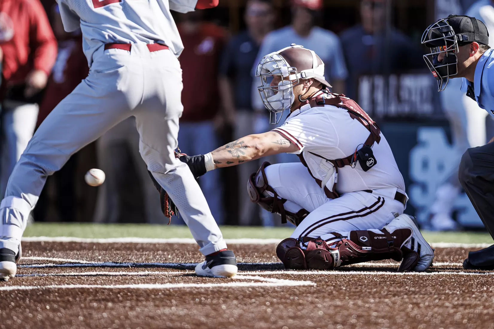 STARKVILLE, MS - March 26, 2022 - Mississippi State Catcher Logan Tanner (#19) during the game between the Alabama Crimson Tide and the Mississippi State Bulldogs at Dudy Noble Field at Polk-Dement Stadium in Starkville, MS. Photo By Kevin Snyder