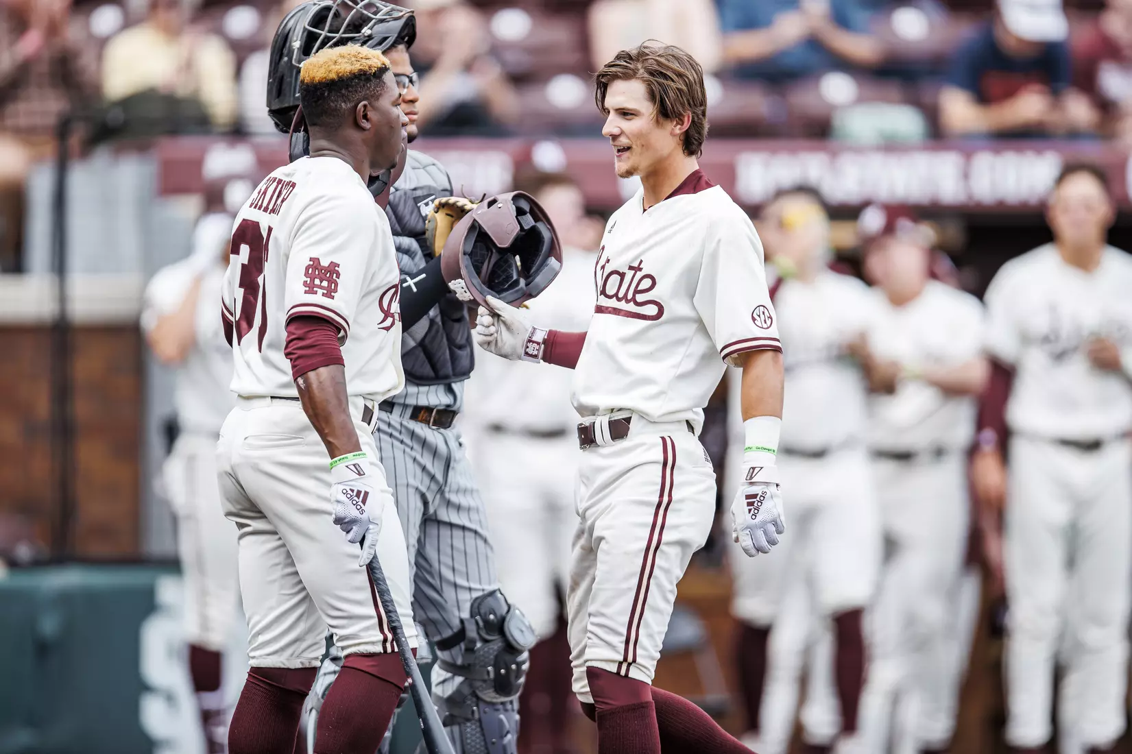 STARKVILLE, MS - February 22, 2022 - Mississippi State Infielder Tanner Leggett (#31) and Mississippi State Outfielder Brayland Skinner (#36) at home plate after LeggettÕs home run during the game between the University of Arkansas at Pine Bluff Golden Lions and the Mississippi State Bulldogs at Dudy Noble Field at Polk-Dement Stadium in Starkville, MS. Photo By Kevin Snyder
