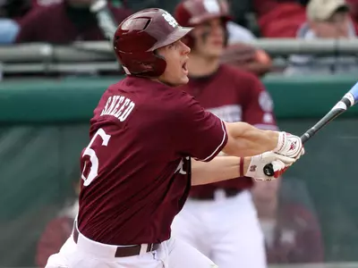 Diamond Dogs Drop Series Finale To Lions 6-5