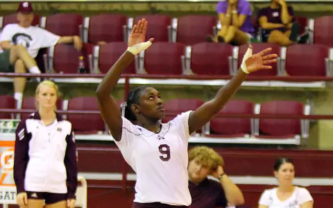 Newsome Sets Blocks Record But Dogs Drop Finale 3-1