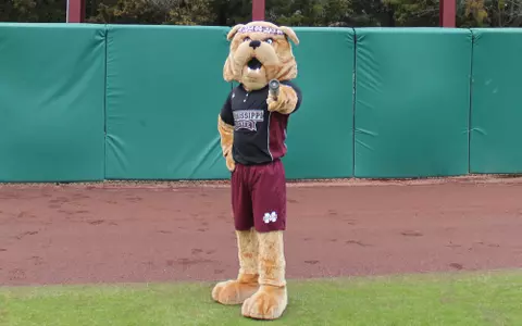 Spots Still Available For 2013 Summer Softball Camp