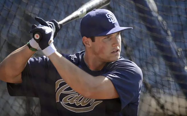 22 Diamond Dawgs Currently In Professional Baseball