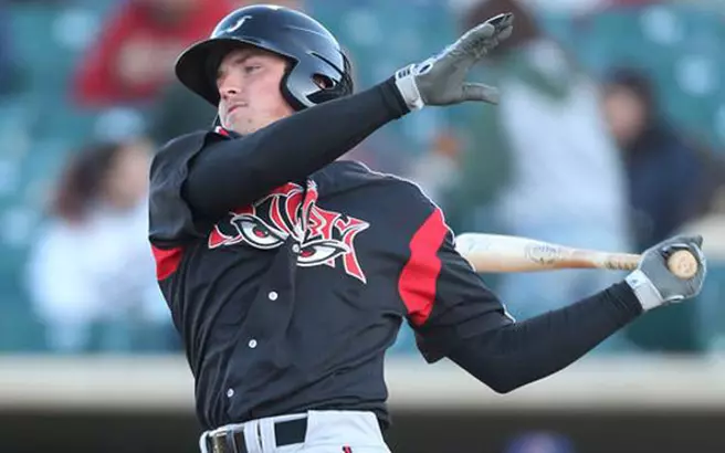 UPDATE: 27 Diamond Dawgs In Professional Baseball