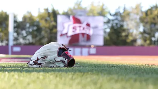 Softball Generic Glove - 2016