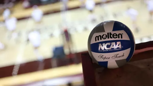 Volleyball - 2016