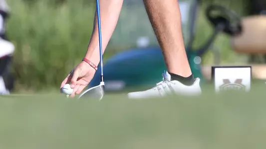 MSU Tee Box