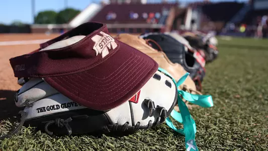 Softball Gloves