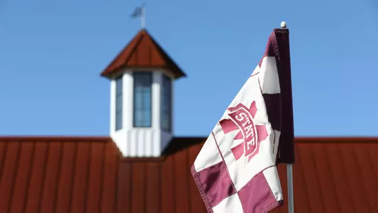 WG - The Barn Flag