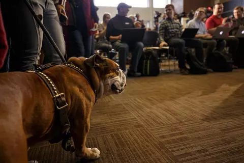 STARKVILLE, MS - JANUARY 10, 2020 - Bully XXI during Head Coach Mike Leach's introductory press conference at the Leo Seal Jr. Football Complex in Starkville, MS. Photo By Austin Perryman