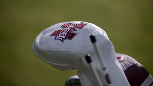 Golf Club Cover