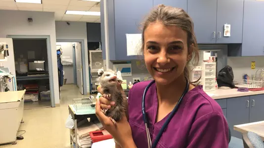 Kylee Burroughs Vet Clinic