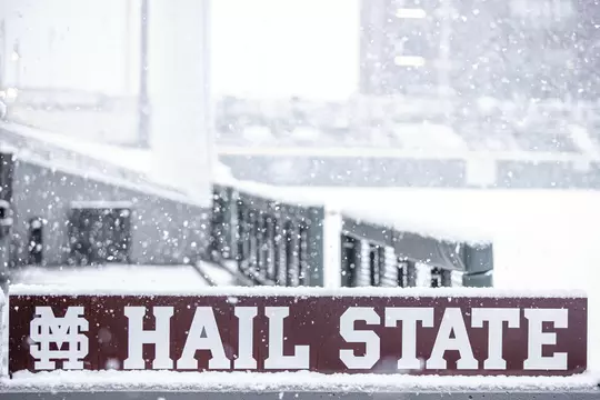 STARKVILLE, MS - January 11, 2021 - Dudy Noble Field at Polk Dement Stadium during a snow day at Mississippi State University in Starkville, MS. Photo By Austin Perryman
