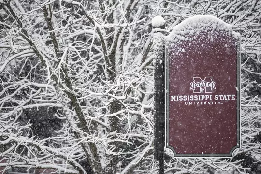 STARKVILLE, MS - January 11, 2021 - Snow day at Mississippi State University in Starkville, MS. Photo By Austin Perryman