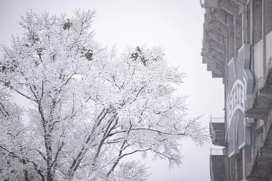 STARKVILLE, MS - January 11, 2021 - Davis Wade Stadium at Scott Field during a snow day at Mississippi State University in Starkville, MS. Photo By Austin Perryman