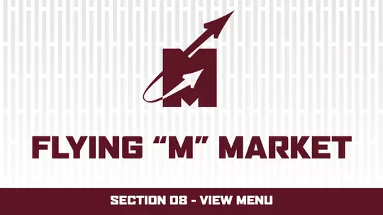 Flyin _M_ Market - Sec 08
