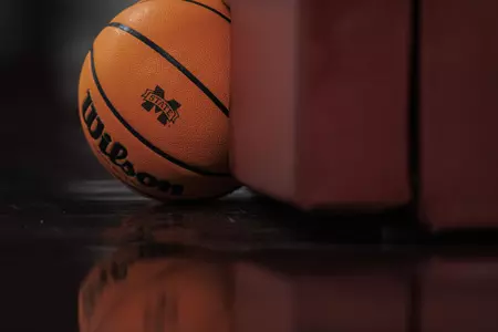 Generic Basketball