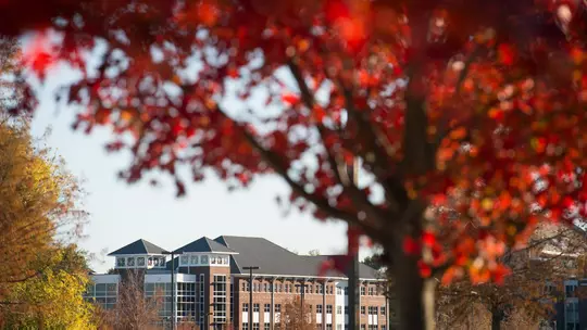 Fall Leaves with Deavenport Hall in background. (photo by Megan Bean / © Mississippi State University)