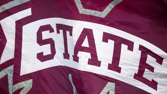 MSU Flag