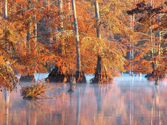 Noxubee Wildlife Refuge