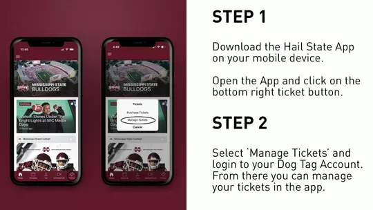 Mobile Ticket GP Step 1 and 2