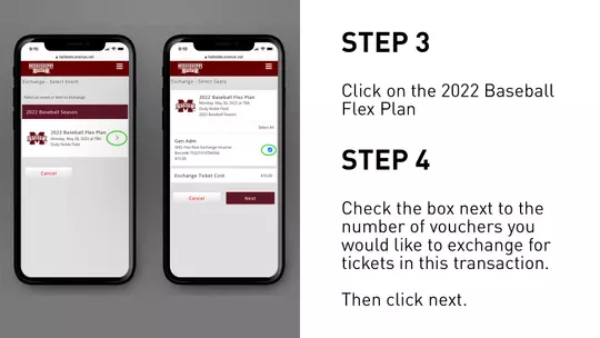 Flex Plan Step 3 and 4