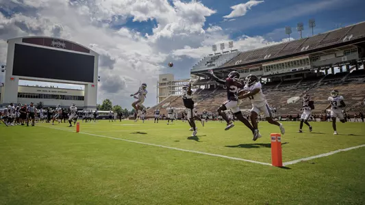 Davis Wade Stadium