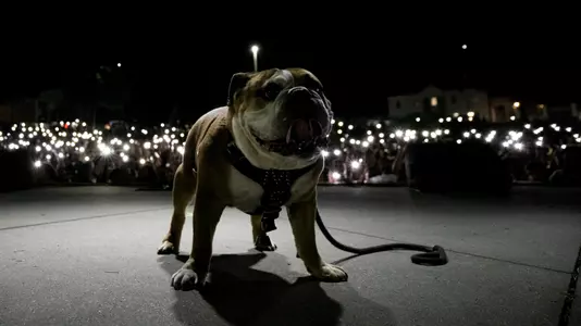 Jak Cowbell Yell