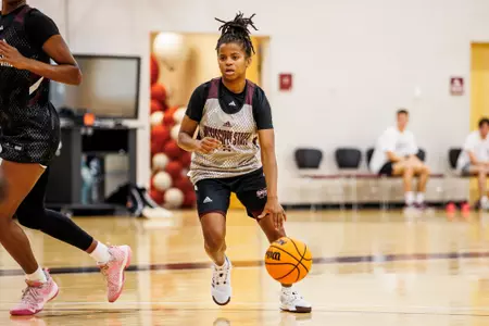 Lauren Park-Lane Practice 2023