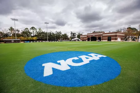 NCAA Field Paint