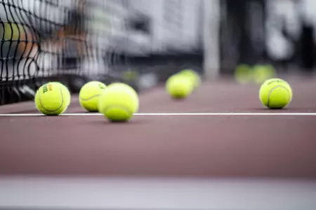 WT - Tennis Balls