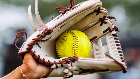 Softball Glove