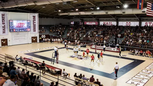 VB - Fans - Louisiana - 2022