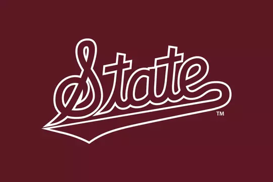 Script with White Outline