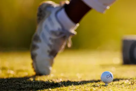 Golf ball on tee.