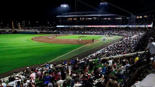 STARKVILLE, MS - April 18, 2025 - Mississippi State Fans during the game between the Florida Gators and the Mississippi State Bulldogs at Dudy Noble Field at Polk-Dement Stadium in Starkville, MS. Photo By Mike Mattina