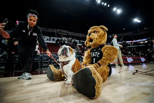 STARKVILLE, MS - January 04, 2024 - Mississippi State Live Mascot Bully XXII and Mississippi State costume Mascot Bully during the game between the Vanderbilt Commodores and the Mississippi State Bulldogs at Humphrey Coliseum in Starkville, MS. Photo By Jaden Powell