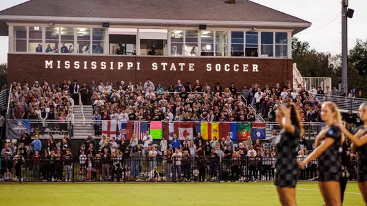 Soccer Field Fans
