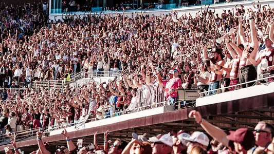 dws fans