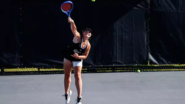 Charlotte vs. South Carolina