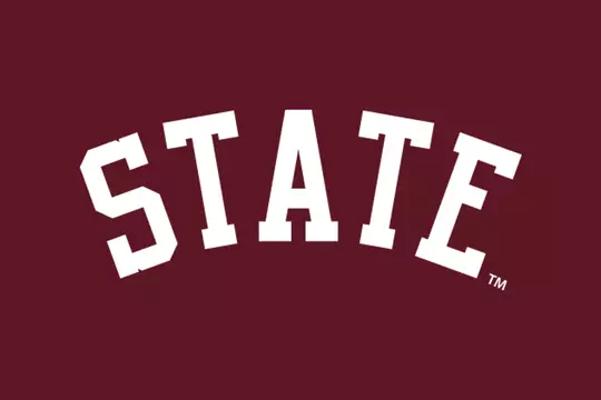 Arched State Logo White