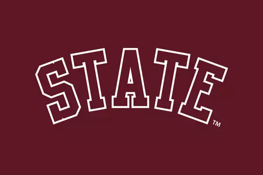 Arched State Logo with White Outline