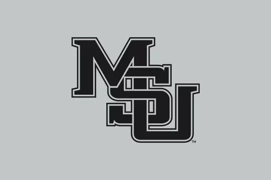 Interlocking Logo Black