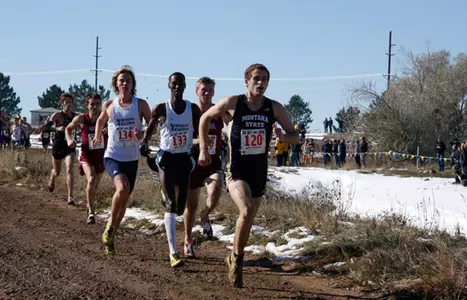 MXC